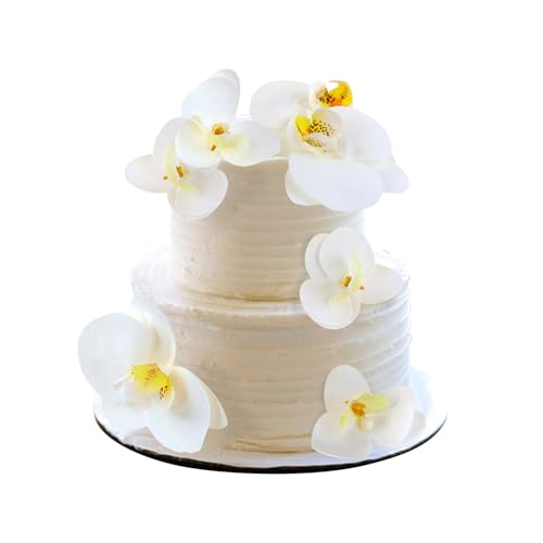 Blumomon 7 Stück Blume Kuchen Topper alles Gute zum Geburtstag künstliche Braut Verlobung Baby Dusche Geburtstag Party Cupcake Dekorationen Picks Jahrestag Party Dekorationen Zubehör Blumomon 7 Stück Blume Kuchen Topper alles Gute zum Geburtstag künstliche Braut Verlobung Baby Dusche Geburtstag Party Cupcake Dekorationen Picks Jahrestag Party Dekorationen Zubehör von Blumomon