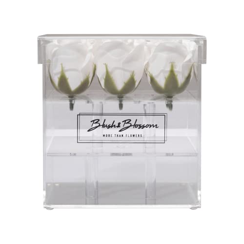 Blush & Blossom Rosenblüten in transparenter Box, 9-teiliges Set, Avalanche von Blush & Blossom