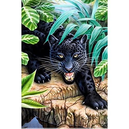 Bocen 5D Diamond Painting Schwarzer Panther Tier, DIY Diamant Painting Kit für Erwachsene/Kinder, Diamant Malerei Vollbohrer Stickerei Kreuzstich Leinwand Kunst Wanddekorationen Square Drill,40x50cm Bocen 5D Diamond Painting Schwarzer Panther Tier, DIY Diamant Painting Kit für Erwachsene/Kinder, Diamant Malerei Vollbohrer Stickerei Kreuzstich Leinwand Kunst Wanddekorationen Square Drill,40x50cm von Bocen