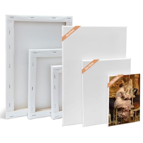 Leinwand Set, 6 Stück Leinwand zum Bemalen 30x20,20x15,15x10 cm Keilrahmen Weiß Canvas Leinwände für Acrylfarben Ölgemälde, Anfänger Künstler von Bocguy