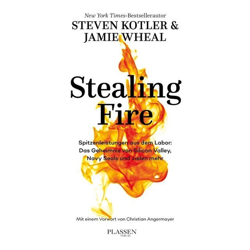 Stealing Fire - Steven Kotler, Jamie Wheal, Gebunden von Börsenmedien