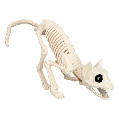 Boland 72413 - Katzen-Skelett, Größe 51 cm, beweglicher Mund, Katze, Cat, Attrappe aus Kunststoff, Dekoration für Halloween, Karneval oder Mottoparty Boland 72413 - Katzen-Skelett, Größe 51 cm, beweglicher Mund, Katze, Cat, Attrappe aus Kunststoff, Dekoration für Halloween, Karneval oder Mottoparty von Boland