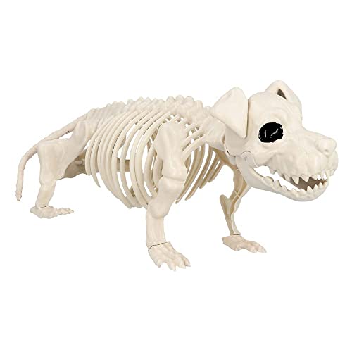 Boland 72416 - Hunde-Skelett, Größe 52 cm, beweglicher Mund, Hund, Dog, Attrappe aus Kunststoff, Dekoration für Halloween, Karneval oder Mottoparty, Beige-schwarz von Boland