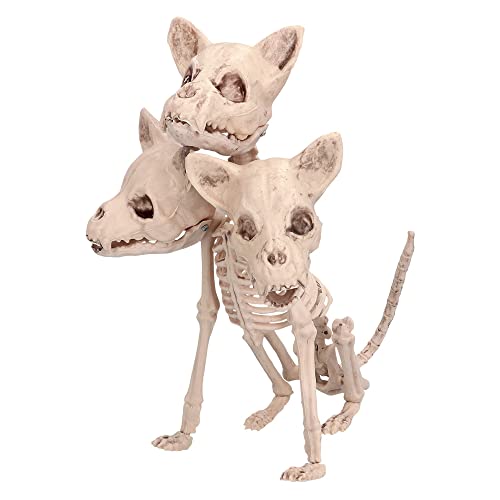 Boland 72423 - Skelett Deko, 33 cm, 3-köpfige Dekofigur, Hunde Skelett, Dekoration, Halloween Deko, Party Deko von Boland