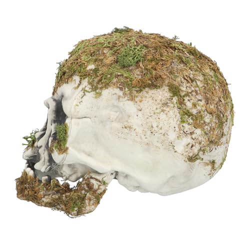 Boland 73099 - Schädel Swamp, Dekoration für Halloween und Karneval, Totenkopf, Skelett von Boland