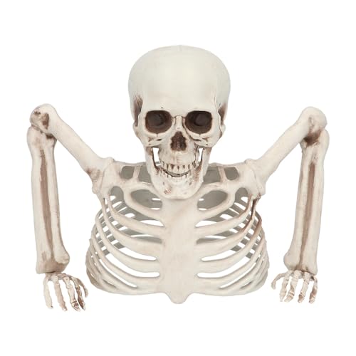 Boland 73214 - Skelett Dekoration, 20 cm, Deko für Halloween und Karneval, Party Deko Boland 73214 - Skelett Dekoration, 20 cm, Deko für Halloween und Karneval, Party Deko von Boland