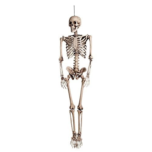 Boland 74515 - Skelett-Dekoration, Größe 160 cm, Hänge-Deko, Knochen-Mann, Halloween, Grusel-Party, Motto-Party, Karneval, Dekoration von Boland