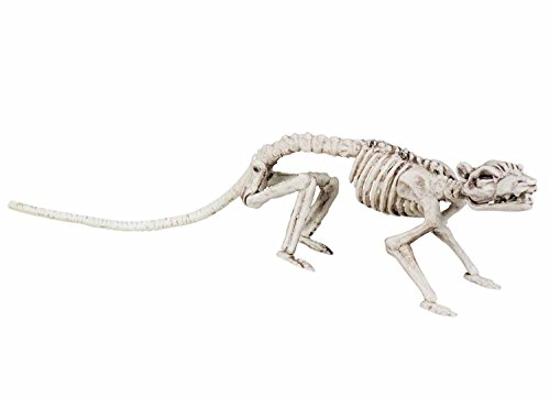 Boland 72155 - Dekoration Ratten-Skelett, Größe 35 cm, Weiß, Halloween-Deko, Mottoparty, Party, Karneval von Boland