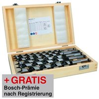 AKTION: BOSCH PRO Wood Schlangenbohrer-Set, 6-teilig mit Prämie nach Registrierung AKTION: BOSCH PRO Wood Schlangenbohrer-Set, 6-teilig mit Prämie nach Registrierung von Bosch