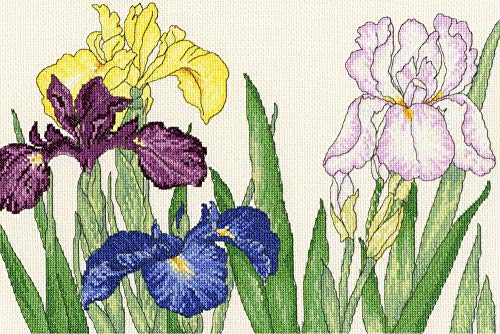 Bothy Threads Kreuzstich-Set Iris Blühten, 36x24cm, XBD14, Zählmuster Bothy Threads Kreuzstich-Set Iris Blühten, 36x24cm, XBD14, Zählmuster von Bothy Threads