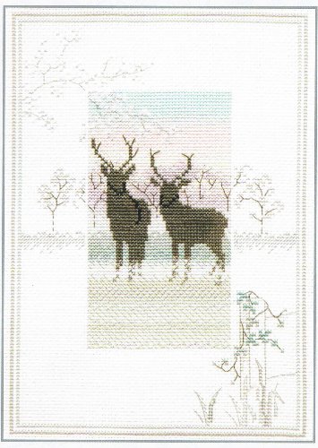 Bothy Threads Kreuzstich-Set "Nebliger Vormittag – Eisiger Hirsch", 25x17.2cm, DWMM5, Zählmuster von Bothy Threads