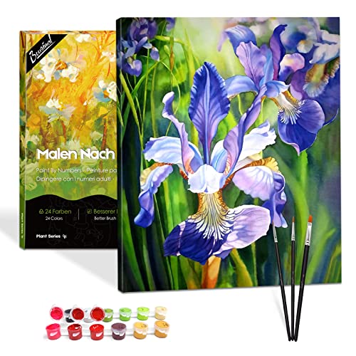 Bougimal Malen Nach Zahlen Erwachsene Blume mit Rahmen inklusive Pinsel und Acrylfarben - 40 x 50 cm, Iris von Bougimal