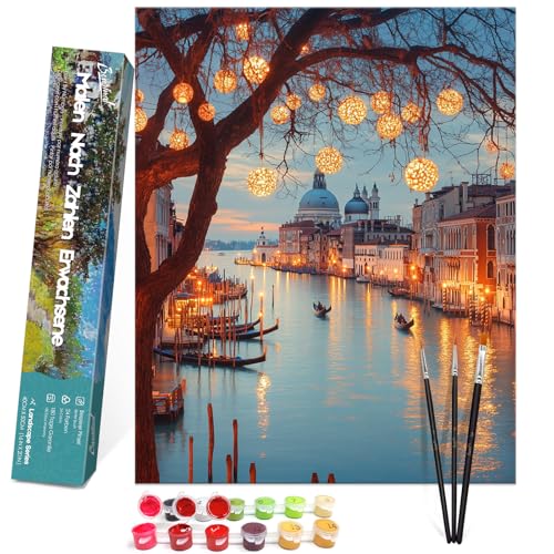 Bougimal Malen Nach Zahlen Erwachsene Landschaft Ohen Rahmen inklusive Pinsel und Acrylfarben - 40 x 50 cm, Nacht der Wasserstadt von Bougimal