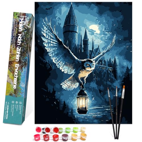 Bougimal Malen Nach Zahlen Erwachsene Landschaft Ohen Rahmen inklusive Pinsel und Acrylfarben - 40 x 50 cm, Schloss 3 Bougimal Malen Nach Zahlen Erwachsene Landschaft Ohen Rahmen inklusive Pinsel und Acrylfarben - 40 x 50 cm, Schloss 3 von Bougimal