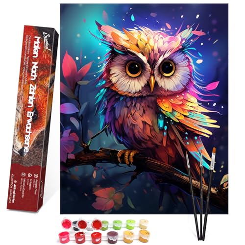 Bougimal Malen Nach Zahlen Erwachsene Tiere Ohen Rahmen inklusive Pinsel und Acrylfarben - 40 x 50 cm, Bunte Eulen Bougimal Malen Nach Zahlen Erwachsene Tiere Ohen Rahmen inklusive Pinsel und Acrylfarben - 40 x 50 cm, Bunte Eulen von Bougimal