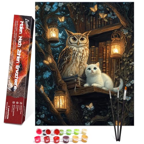 Bougimal Malen Nach Zahlen Erwachsene Tiere Ohen Rahmen inklusive Pinsel und Acrylfarben - 40 x 50 cm, Eule und Katze von Bougimal
