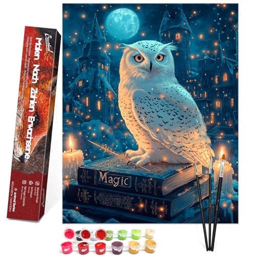 Bougimal Malen Nach Zahlen Erwachsene Tiere Ohen Rahmen inklusive Pinsel und Acrylfarben - 40 x 50 cm, Eule und Schloss 1 von Bougimal