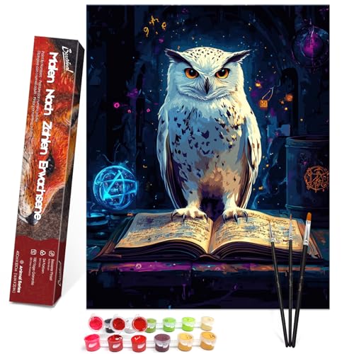 Bougimal Malen Nach Zahlen Erwachsene Tiere Ohen Rahmen inklusive Pinsel und Acrylfarben - 40 x 50 cm, Eule und alte Bücher 1 von Bougimal