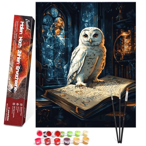 Bougimal Malen Nach Zahlen Erwachsene Tiere Ohen Rahmen inklusive Pinsel und Acrylfarben - 40 x 50 cm, Eule und alte Bücher 2 Bougimal Malen Nach Zahlen Erwachsene Tiere Ohen Rahmen inklusive Pinsel und Acrylfarben - 40 x 50 cm, Eule und alte Bücher 2 von Bougimal