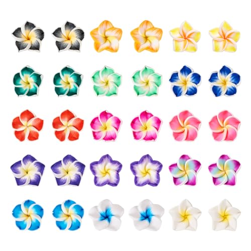 Boutigem Bunte 3D-Blumenperlen in Plumeria-Form für Halsketten, Armbänder, Ohrringe, 120 Stück von Boutigem