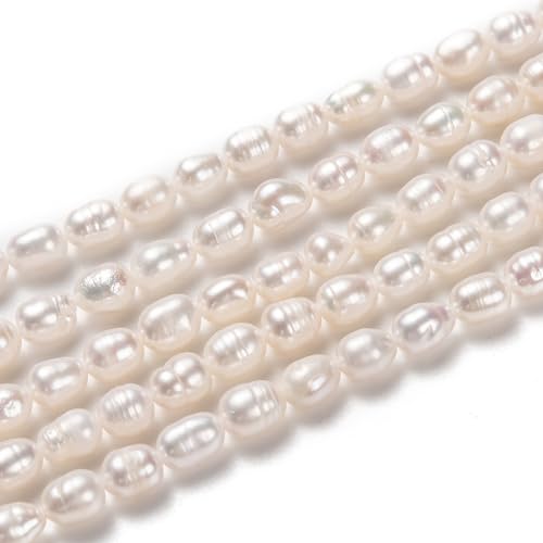 Boutigem Natürliche Süßwasser-Zuchtperlen, lose Perlen, 5–5,5 mm, für Sommerarmbänder, Halsketten, Schmuckherstellung, Bastelarbeiten, 43 Stück von Boutigem