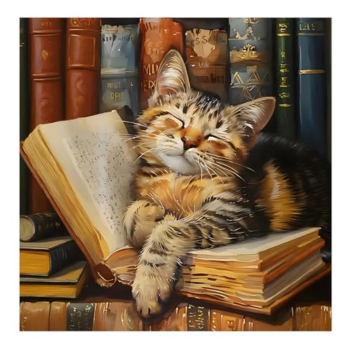 Bowetile Diamond Painting Schlafende Katze Erwachsene, Kürbis mit Strasssteinen für Anfänger, Diamant Painting Bilder Erwachsene, 5D DIY Diamond-Painting Arts Craft für Home Wand Decor 30x30cm Bowetile Diamond Painting Schlafende Katze Erwachsene, Kürbis mit Strasssteinen für Anfänger, Diamant Painting Bilder Erwachsene, 5D DIY Diamond-Painting Arts Craft für Home Wand Decor 30x30cm von Bowetile