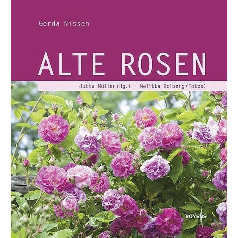 Alte Rosen - Gerda Nissen, Gebunden von Boyens Buchverlag