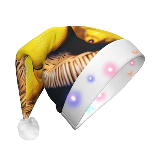 BrUgui Festliche LED-Weihnachtsmütze – langlebige Farben, drei blinkende Modi, perfektes Urlaubsaccessoire! Regenbogen gestreift von BrUgui