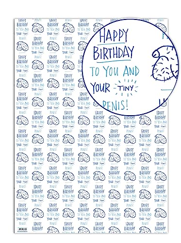 Brainbox Candy - 4 Bögen lustiges Geschenkpapier "Willies" zum Geburtstag – Geschenkpapier mit Penis-Illustrationen für Erwachsene mit einem frechen Sinn für Humor – gefaltete, hochwertige Verpackung von Brainbox Candy