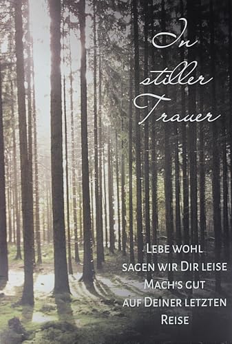 Trauerkarte In stiller Trauer mit Text Lebe wohl Beileidskarte Kondolenzkarte Klappkarte Waldmotiv Sonnenstrahlen Bäume Format 11,5 x 17 cm mit Umschlag FSC Papier Innenseite weiß Trauerkarte In stiller Trauer mit Text Lebe wohl Beileidskarte Kondolenzkarte Klappkarte Waldmotiv Sonnenstrahlen Bäume Format 11,5 x 17 cm mit Umschlag FSC Papier Innenseite weiß von Braun + Company Papierwaren GmbH