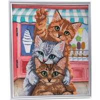 Diamond Painting "Picture Frame Crystal Art" - Kittens von Braun