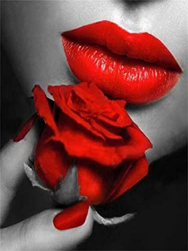Brbokle DIY Diamant Painting Bilder Kits für Erwachsene Rot und Schwarz 5D Diamond Painting Bilder Malen nach Zahlen Strass Stickerei Kreuzstich Arts Craft Heimdeko（Square Drill 60x90cm/24x36inch） von Brbokle