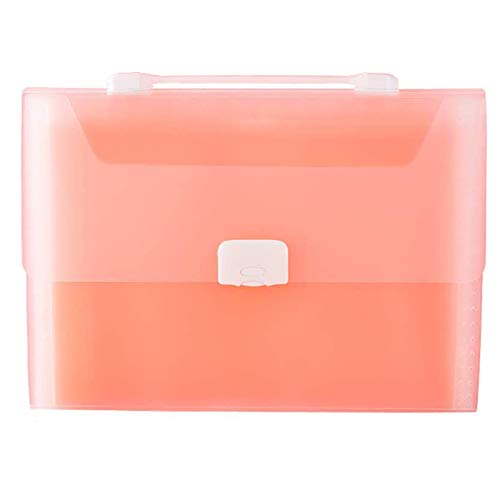 Breeshy Akkordeon-Ordner, erweiterbar, A4-Ordner, Dokumentenorganizer zum Aufhängen, mit 13 Taschen, für Büro- und Schulbedarf, Rosa von Breeshy