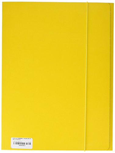 brefiocart 0208805 G – Ordner (25 cm, 35 cm, Gelb), 10 Stück von Brefiocart