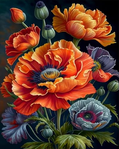 Brennora 11CT Vorgedrucktes Kreuzstich-Set Mohnblume für Erwachsene und Anfänger DIY Stickbilder für Wandkunst-Heimdekoration 40×50cm von Brennora