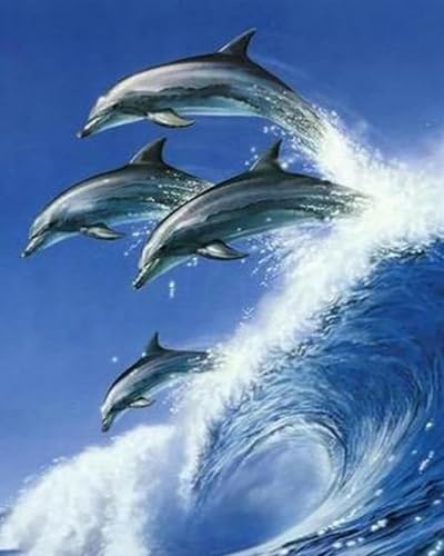 Brennora 11CT Vorgedrucktes Kreuzstich-Set für Erwachsene und Anfänger Surfender Delfin DIY Stickbilder für Wandkunst-Heimdekoration 40x50 cm von Brennora