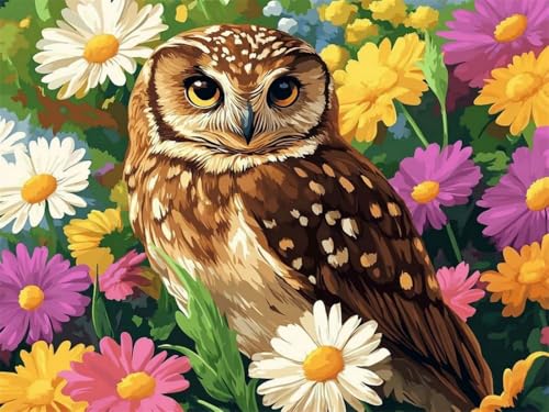 Brennora 5D Diamond Painting Set Eule mit Vogel Erwachsene DIY-Mosaik Arts Crystal Strass Kunsthandwerk für Zuhause Wand Dekor 40x50 cm von Brennora