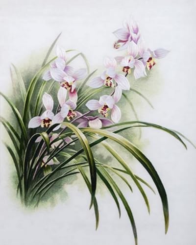 Brennora 5D Diamond Painting Set Orchidee Erwachsene DIY-Mosaik Arts Crystal Strass Kunsthandwerk für Zuhause Wand Dekor 40x50cm von Brennora