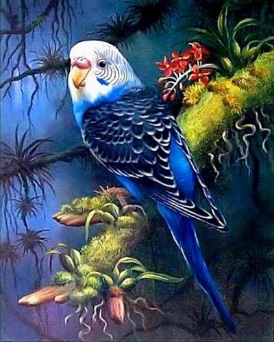 Brennora 5D Diamond Painting Set Papageienvogel Erwachsene DIY-Mosaik Arts Crystal Strass Kunsthandwerk für Zuhause Wand Dekor 40x50cm Brennora 5D Diamond Painting Set Papageienvogel Erwachsene DIY-Mosaik Arts Crystal Strass Kunsthandwerk für Zuhause Wand Dekor 40x50cm von Brennora