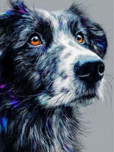 Brennora 5D Diamond Painting Set Shiba Inu Erwachsene DIY-Mosaik Arts Crystal Strass Kunsthandwerk für Zuhause Wand Dekor 40x50 cm von Brennora
