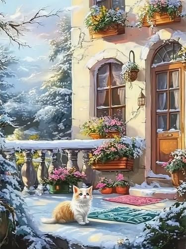 Brennora 5D Diamond Painting Set Winterlicher Hof Erwachsene DIY-Mosaik Arts Crystal Strass Kunsthandwerk für Zuhause Wand Dekor 40x50 cm von Brennora