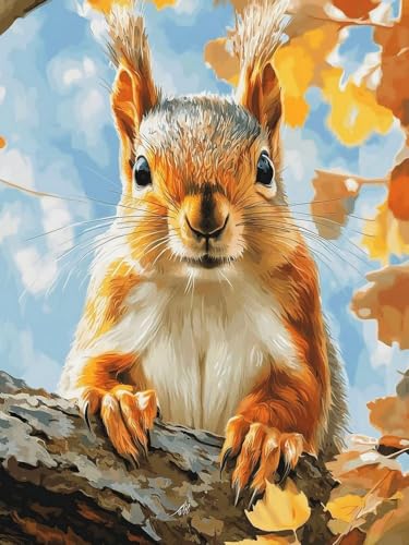 Brennora Vorgedruckt Kreuzstich Set Eichhörnchen 11CT Stickerei Leinwand kit DIY Kunst für Anfänger Kinder Heimdekoration 40x50 cm Brennora Vorgedruckt Kreuzstich Set Eichhörnchen 11CT Stickerei Leinwand kit DIY Kunst für Anfänger Kinder Heimdekoration 40x50 cm von Brennora