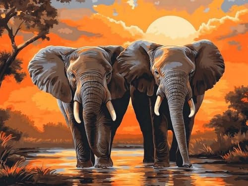 Brennora Vorgedruckt Kreuzstich Set Elefant 11CT Stickerei Leinwand kit DIY Kunst für Anfänger Kinder Heimdekoration 40x50 cm von Brennora