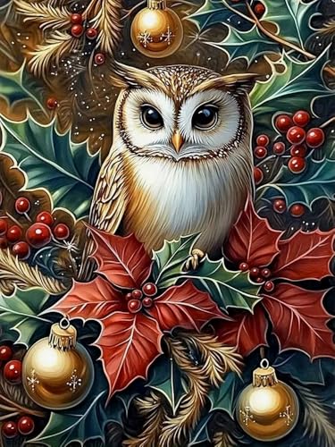 Brennora Vorgedruckt Kreuzstich Set Weihnachten Eule 11CT Stickerei Leinwand kit DIY Kunst für Anfänger Kinder Heimdekoration 40x50 cm Brennora Vorgedruckt Kreuzstich Set Weihnachten Eule 11CT Stickerei Leinwand kit DIY Kunst für Anfänger Kinder Heimdekoration 40x50 cm von Brennora