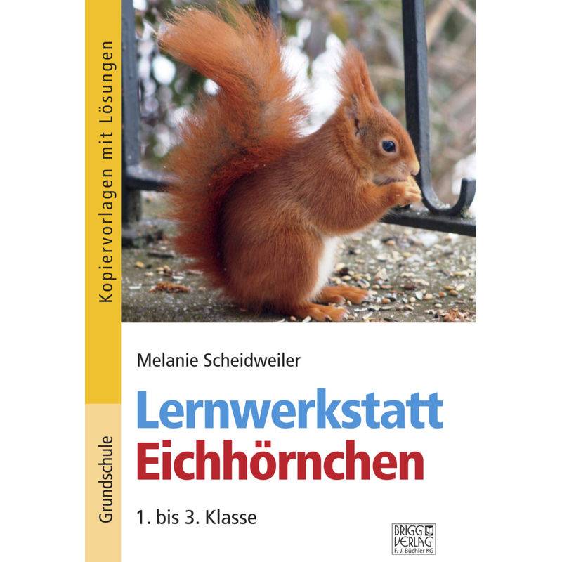 Lernwerkstatt Eichhörnchen - Melanie Scheidweiler, Kartoniert (TB) von Brigg Verlag