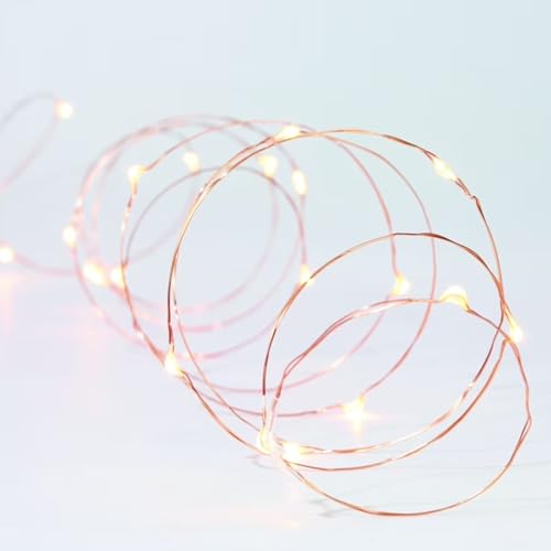 Brightium LED-Lichterkette mit Kupferdraht, 2 m, Knopfzellen, kaltweiß, ideal für Partys und Räumlichkeiten Brightium LED-Lichterkette mit Kupferdraht, 2 m, Knopfzellen, kaltweiß, ideal für Partys und Räumlichkeiten von Brightium