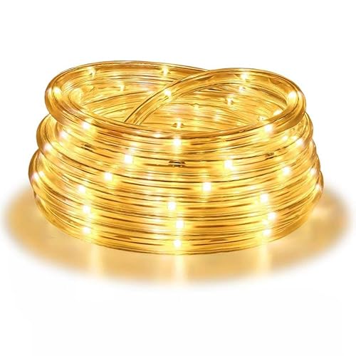 Brightium Lichterkette mit Niedervolt-Schlauch, warmweiß, 20 m, IP44, 200 LEDs, 3,6 W, 8 Funktionen, Speicher und Timer. Brightium Lichterkette mit Niedervolt-Schlauch, warmweiß, 20 m, IP44, 200 LEDs, 3,6 W, 8 Funktionen, Speicher und Timer. von Brightium