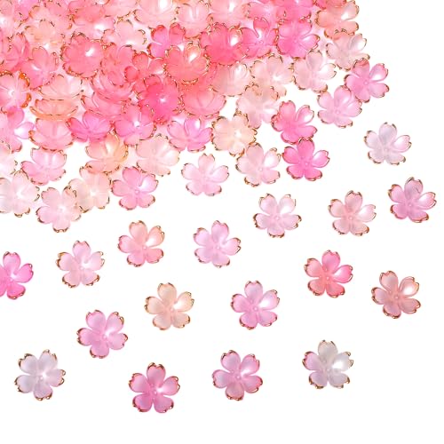 100 Stück Kirschblüten Acryl Blumenperlen Mini Blumen Abstandsperlen Vergoldete Blütenblatt-Blumenperlen 5-Blütenblatt-Farbverlaufs-Blumenperlen für Schmuckherstellung Basteln Ohrringe Halsketten von Bruislard