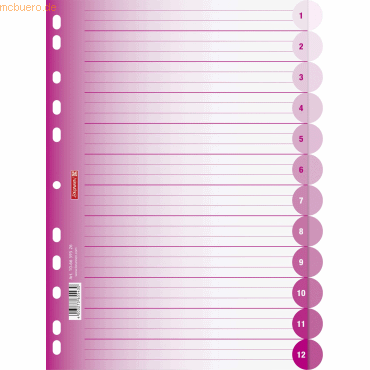 10 x Brunnen Register Colour Code A4 12-teilig PP blanko pink von Brunnen