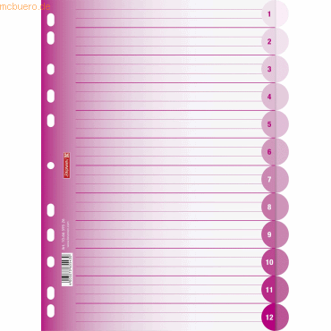 10 x Brunnen Register Colour Code A4 12-teilig PP blanko pink 10 x Brunnen Register Colour Code A4 12-teilig PP blanko pink von Brunnen